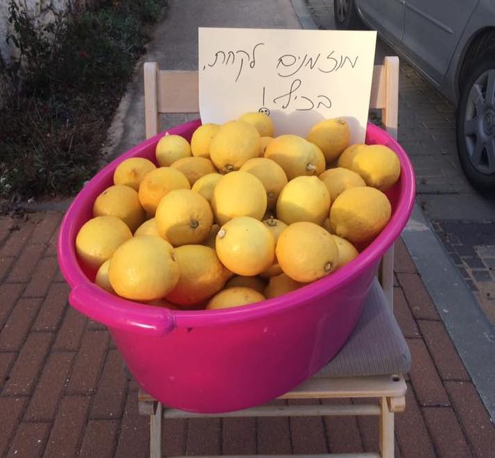 Lemons, Corona and Kibbutz Life